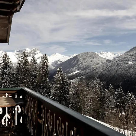 Chalet Marie Paradis Vue Mont Blanc *