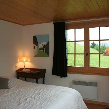 Marie Paradis Vue Mont Blanc Chalet